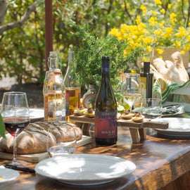 Serafica Top Experience: Vin- och olivoljeprovning
