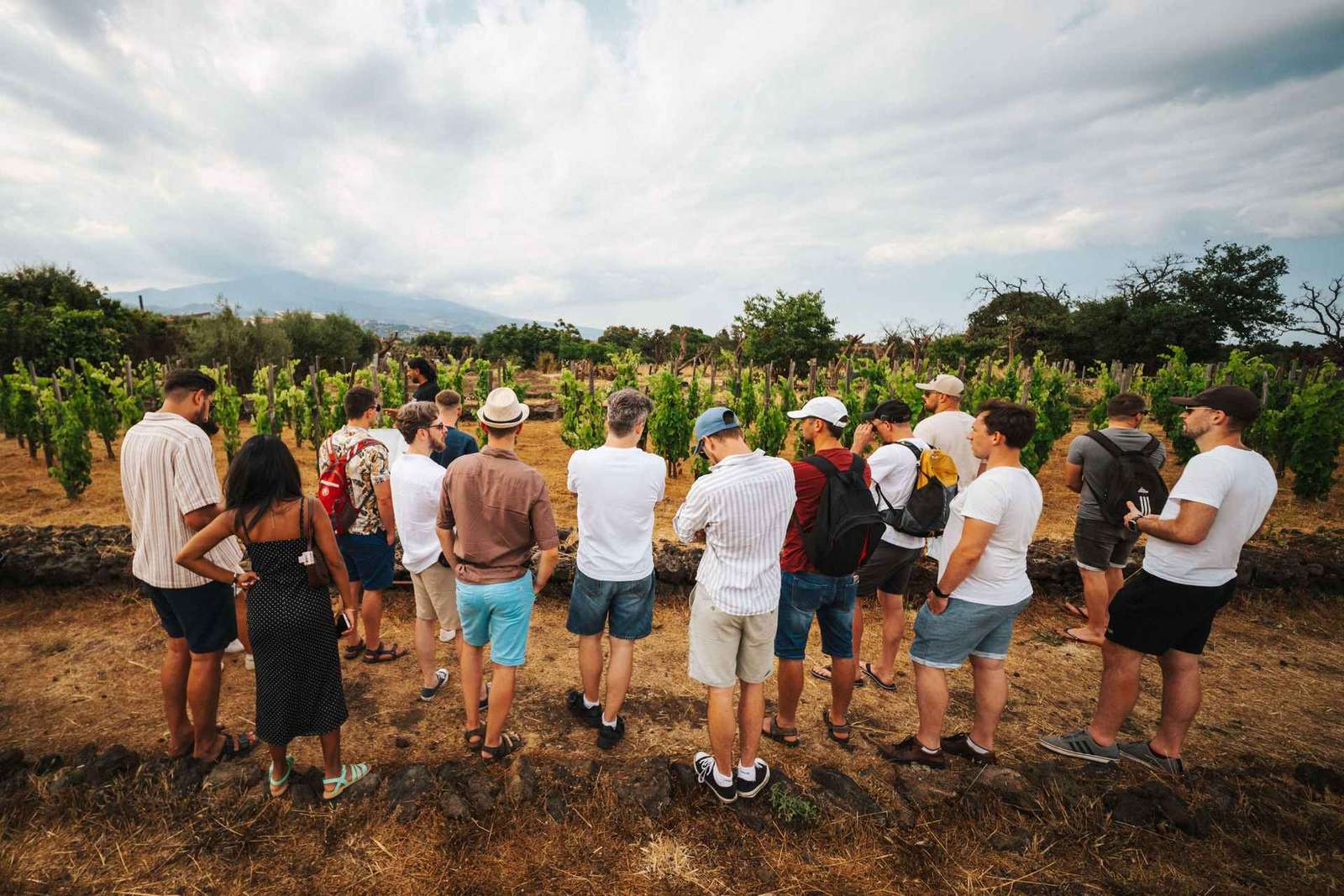 Etna: Vinařství ve městě, procházka vinicemi a ochutnávka vín při západu slunce