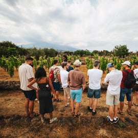 Etna: Vinařství ve městě, procházka vinicemi a ochutnávka vín při západu slunce