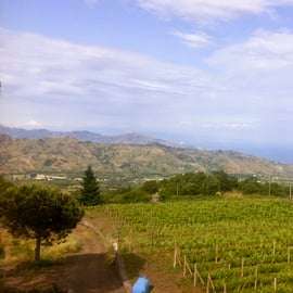 Catania: Mt. Etna Private Tour with Food and Wine Tasting