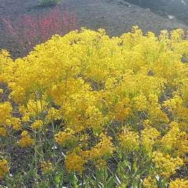 Mount Etna and Alcantara Gorges Day Trip