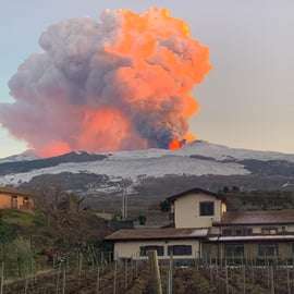 Private Etna Wine Tasting with Homemade Lunch and Pickup