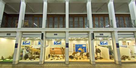 Muzeum Zoologiczne