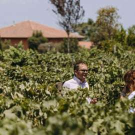 Visita in cantina con degustazione sull'Etna, tra lava e vigneti