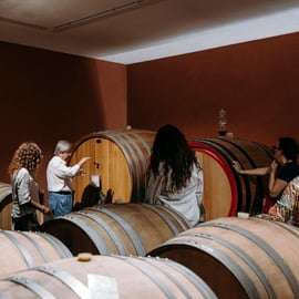 Visita in cantina con degustazione sull'Etna, tra lava e vigneti