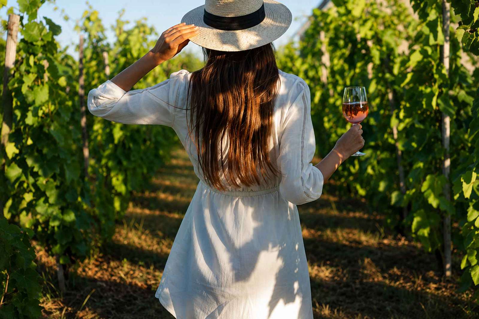 Excursion sur l'Etna avec dégustation de vins et déjeuner