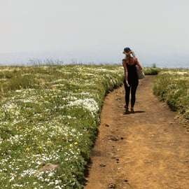 From Catania: Mount Etna Half-Day Tour and Wine Experience
