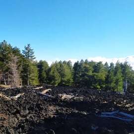 From Taormina: Private Guided Walk on Mt Etna & Wine Tasting