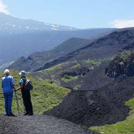 Catania: Morgontur till Etna med provsmakning och lavagrottor