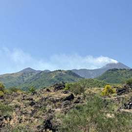 Ätna-Tour ab Catania: Lavahöhle, Krater und Verkostung