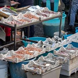 Catania Street Food Tour: History, Myths and Tastings in the Historic Center