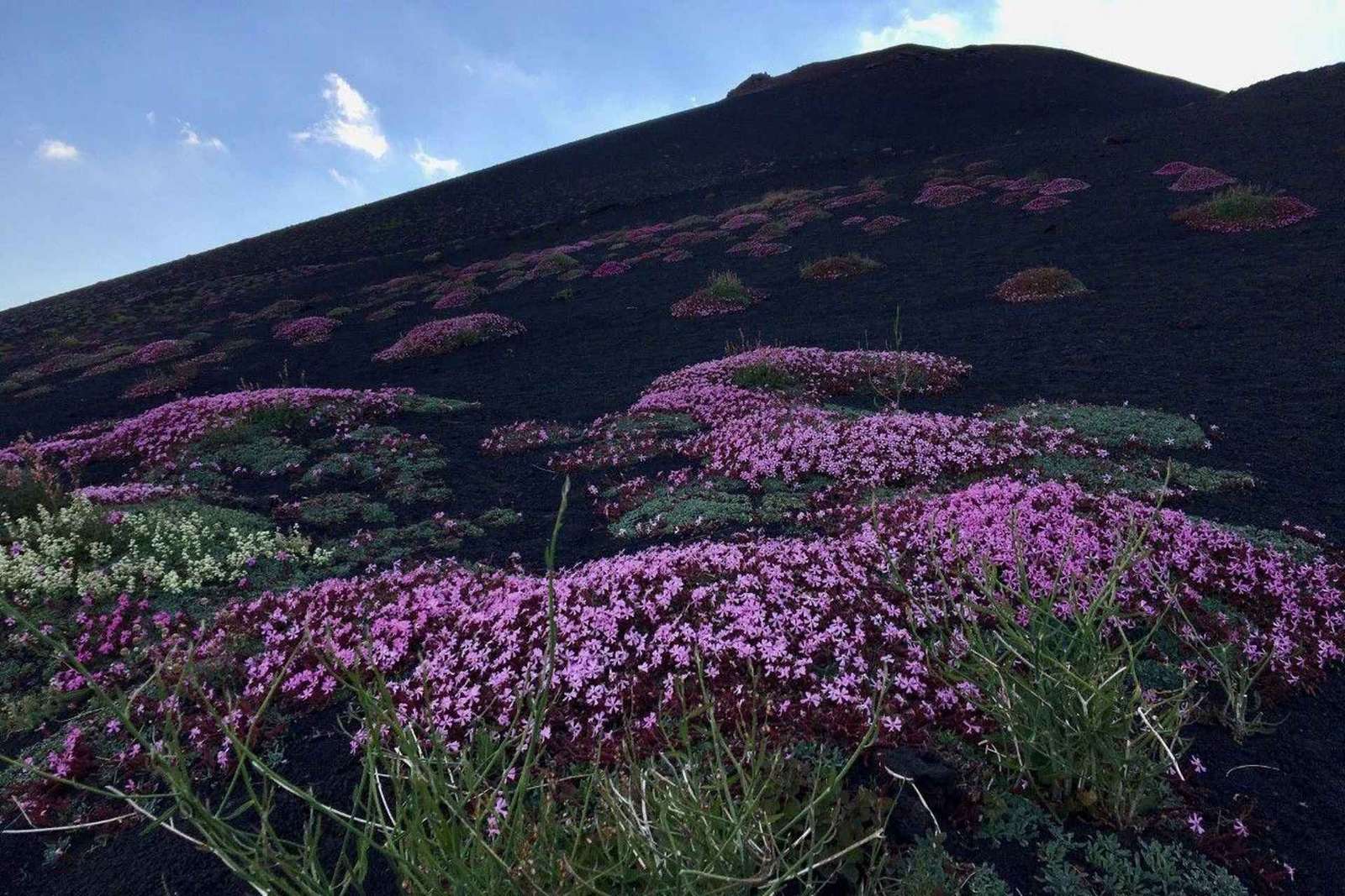 Tour en 4x4 por el Etna: cueva de lava y degustación