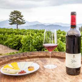 Catania: Mt. Etna Private Tour with Food and Wine Tasting