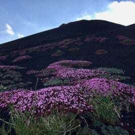 Tour en 4x4 por el Etna: cueva de lava y degustación