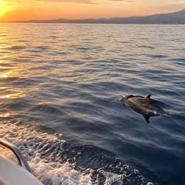 Aci Trezza: 2-stündige Delfinbeobachtungs-Bootsfahrt bei Sonnenuntergang