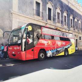 Из Катании: тур по Этне на панорамном автобусе