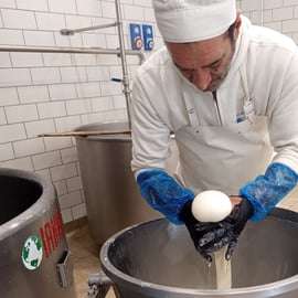 Kaasmakerij bij Catania: mozzarella zien maken en kazen proeven