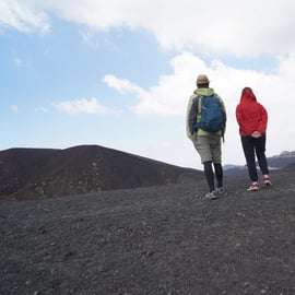 Catania: Morgontur till Etna med provsmakning och lavagrottor