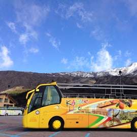 Wycieczka autobusem na Etnę: otwarty dach i miód z Zafferany