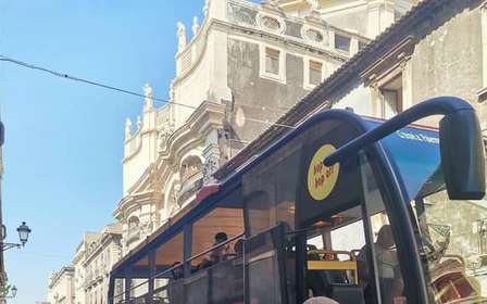 Desde Catania: Excursión al Etna en autobús panorámico