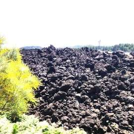 From Taormina: Private Guided Walk on Mt Etna & Wine Tasting