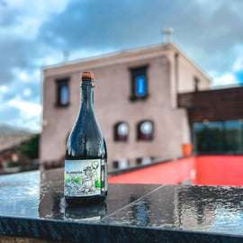 Etna: Degustacja wina i wycieczka kulinarna