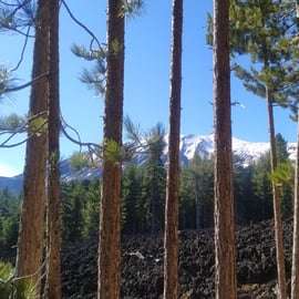 From Taormina: Private Guided Walk on Mt Etna & Wine Tasting
